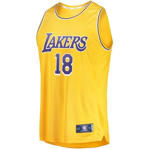 18-Joel Berry II Los Angeles Lakers  Jersey - Icon Edition - Gold